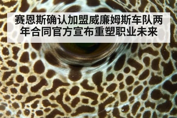 赛恩斯确认加盟威廉姆斯车队两年合同官方宣布重塑职业未来